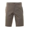 BOSS Mens Liem Shorts Pastel Green Beige 1 BOSS Mens Liem Shorts Pastel Green Beige -Boszz Clothing Shop boss mens liem shorts pastel green beige p43663 278909 zoom